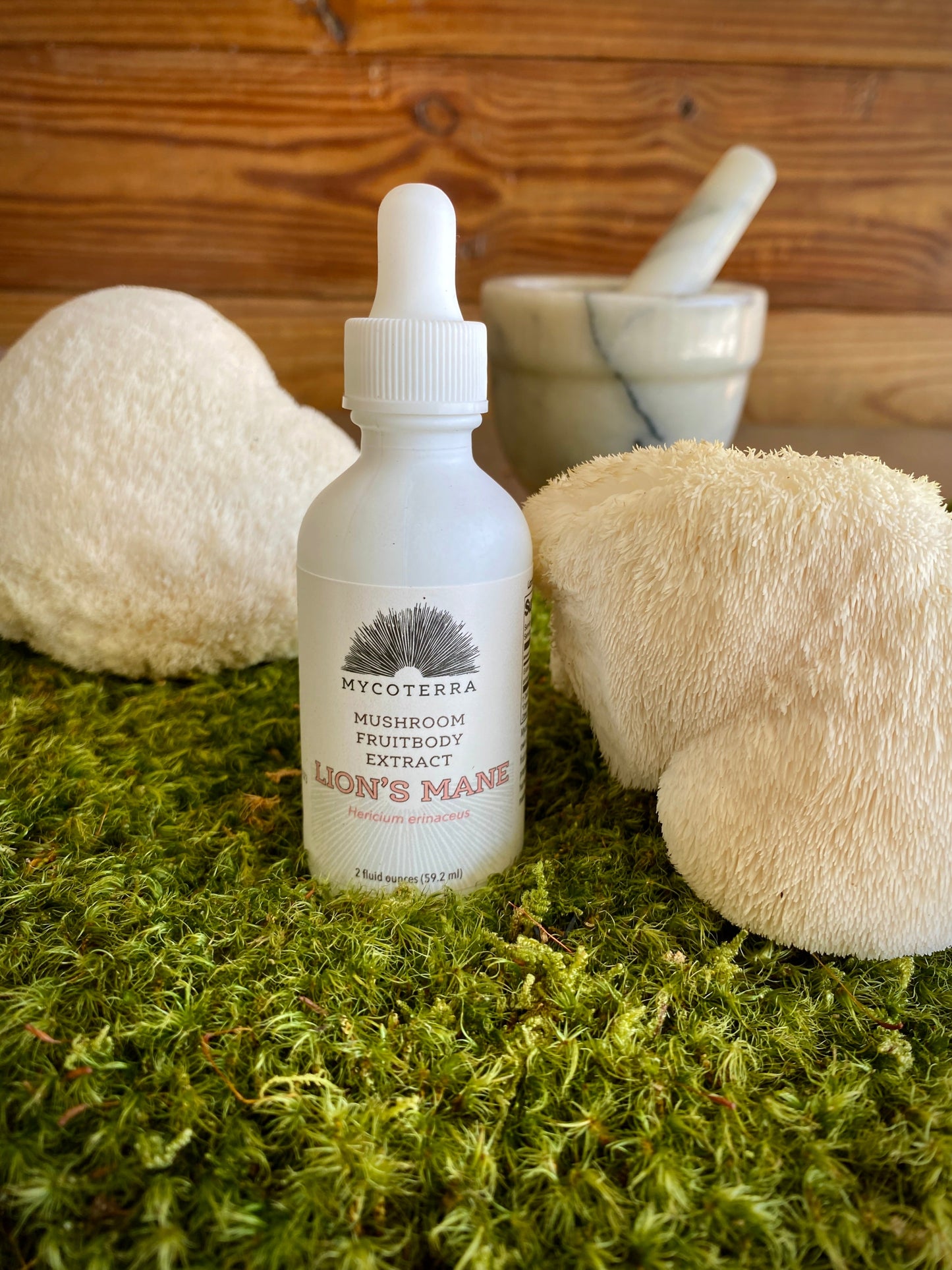 Organic Lion’s Mane Mushroom Tincture 2oz.
