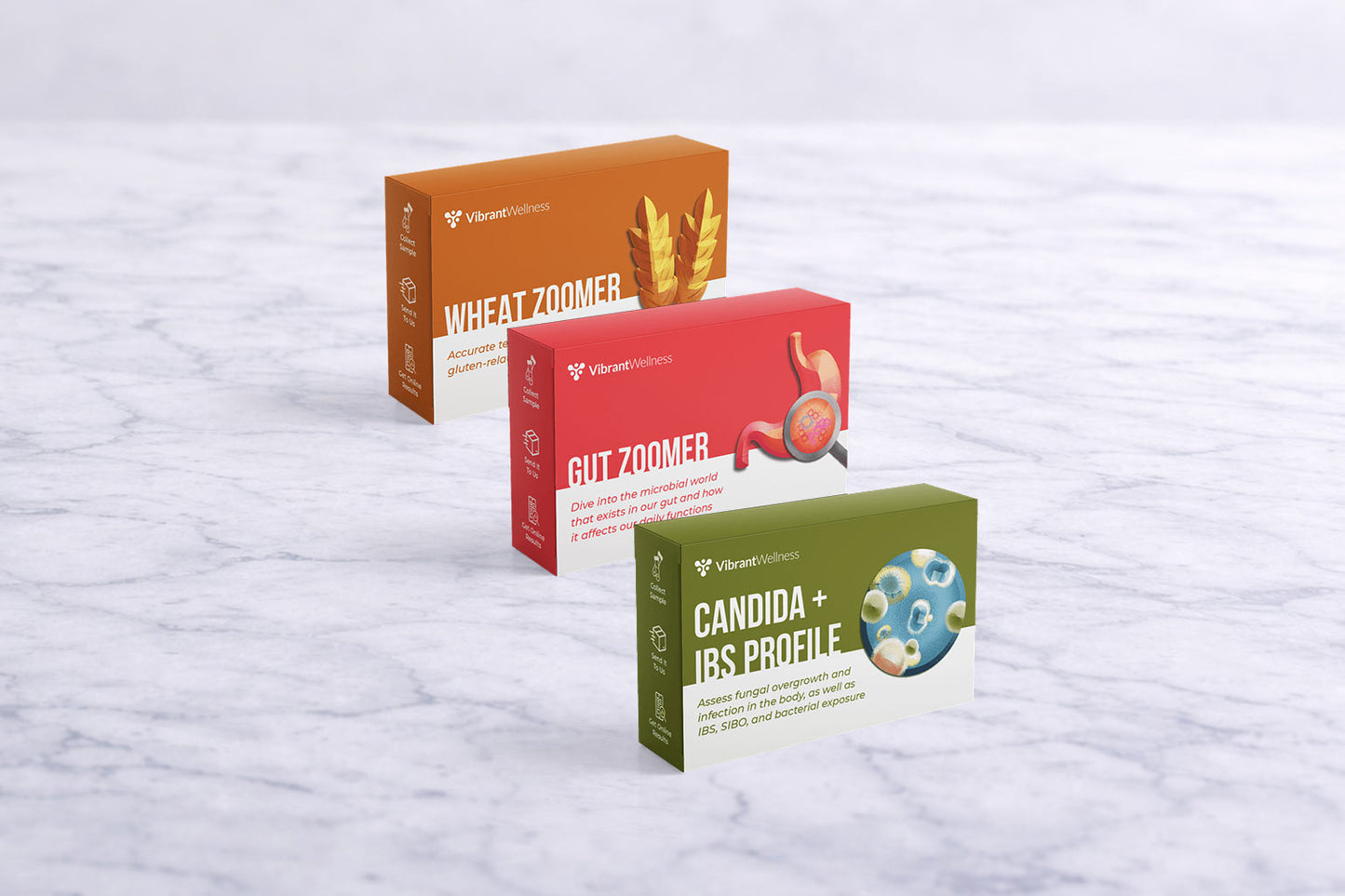 Comprehensive Gut Tests
