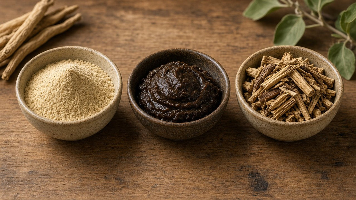 Ashwagandha KSM-66 vs Sensoril vs Full-Spectrum: Which Extract Actually Works?