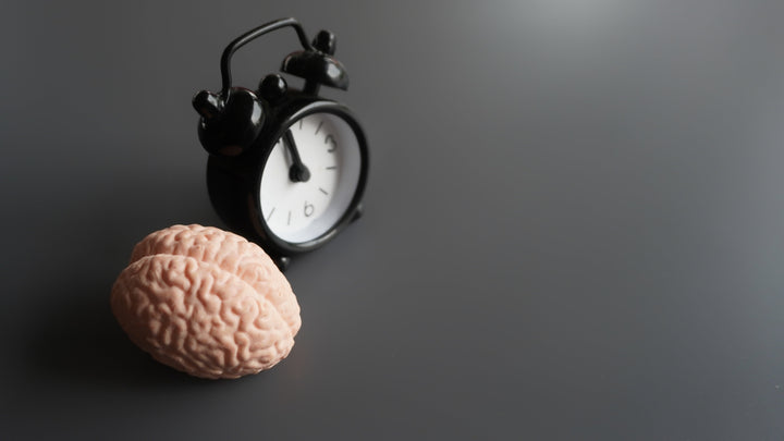 Circadian Rhythm Reset Protocols: Jet Lag, Night Shift, and Chronic Phase Delay
