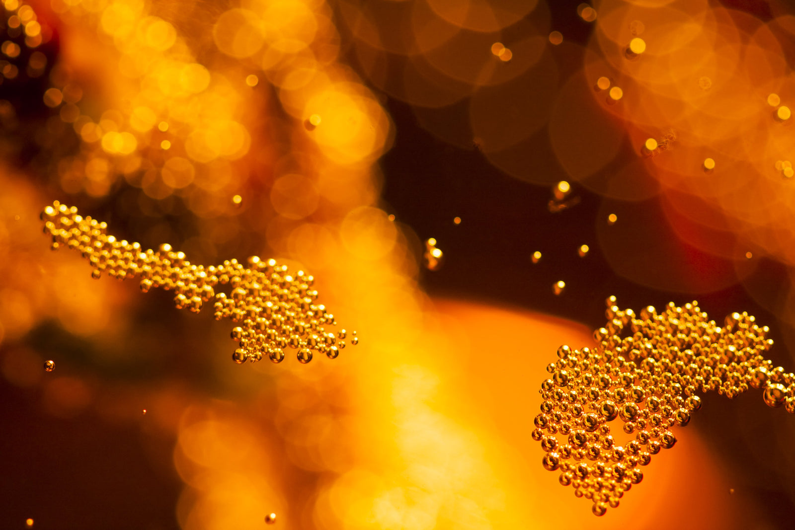 B-Complex and Methylation: Beyond the MTHFR Fad