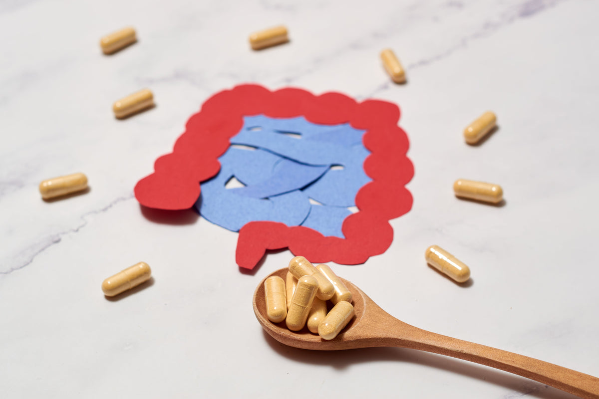 Best Probiotic for IBS 2026: Which Strain Actually Works (Bifidobacterium infantis 35624)
