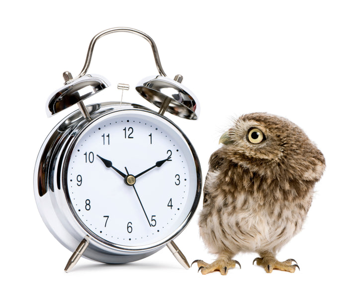 Chronotypes: Night Owl vs Early Bird, and the "Just Try Harder" Myth