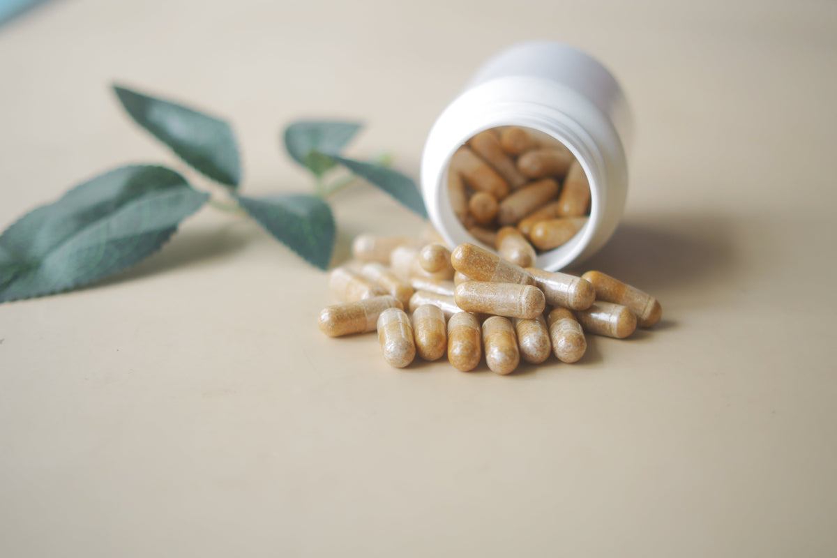 Best Berberine Supplements 2026: The Full Evidence Guide (Yin 2008, Dong 2012, Dihydroberberine + Product Rankings)