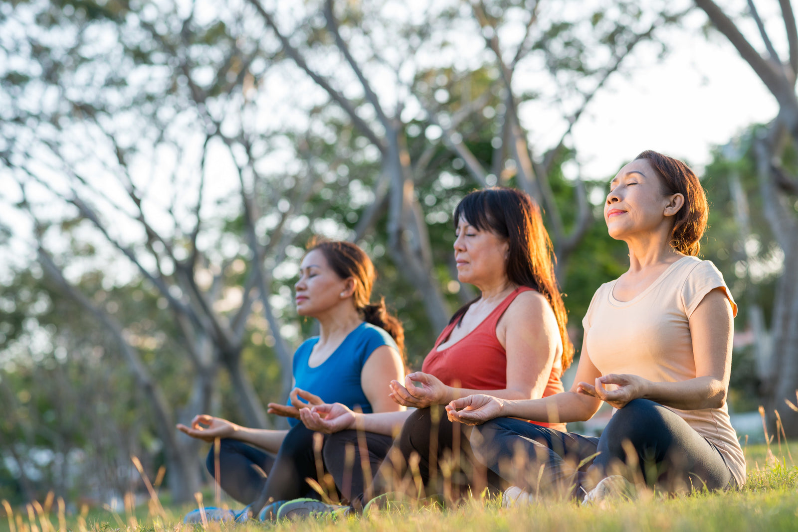 Meditation Techniques: The Four With Real Evidence, and What Real Evidence Actually Means