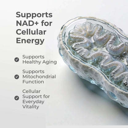 Liposomal NMN Capsules