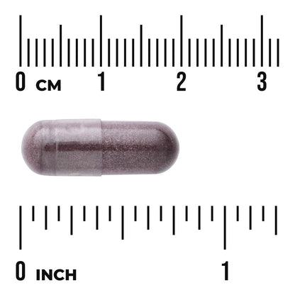 Bilberry Extract - Standardized