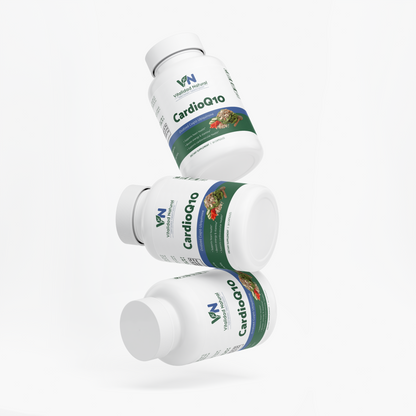 CoQ10 Ubiquinone