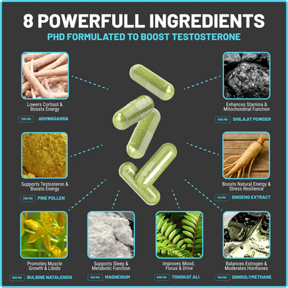 21 Again Rewind Natural Testosterone Booster