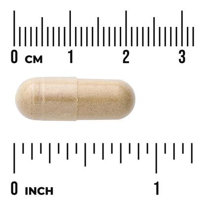 Milk Thistle - Features 80% Silymarin