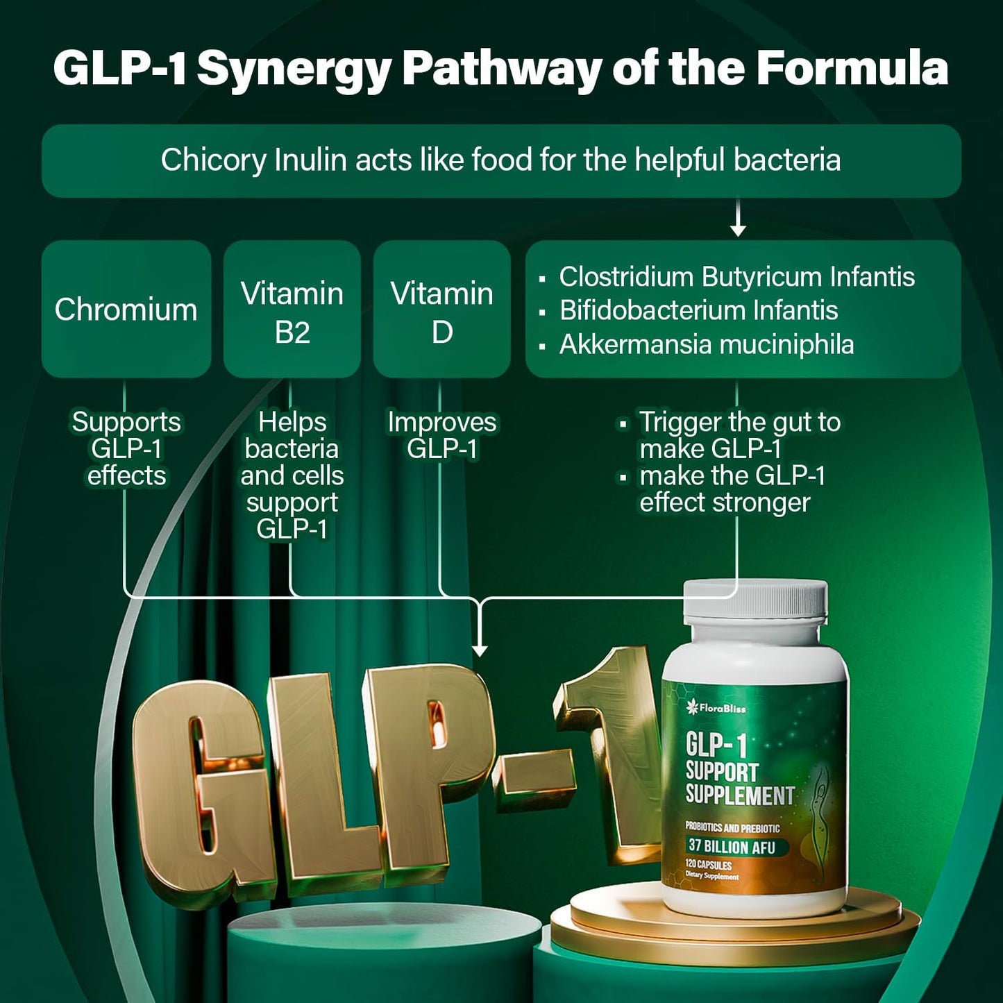 Natural Support Formula | 37 Billion Probiotics – Natural Akkermansia, Chicory Inulin, Berberine - Vitamin D & B2