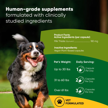 Liver Support