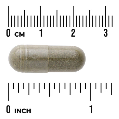 Full Spectrum Spearmint Leaf