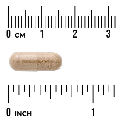 Resveratrol