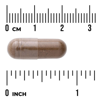 Valerian Root