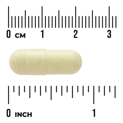 Rutin Natural Bioflavonoid