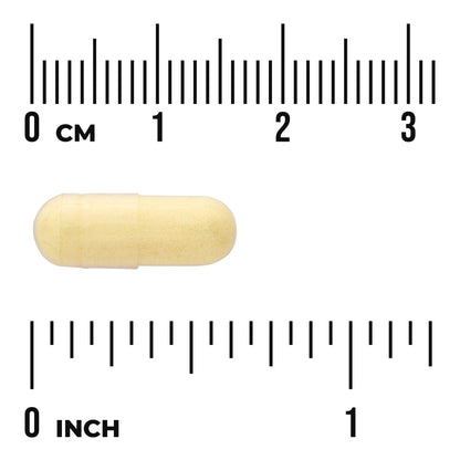 Folic Acid