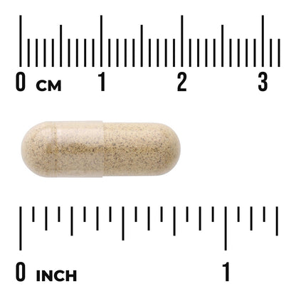 Resveratrol