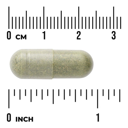 Neem Leaf