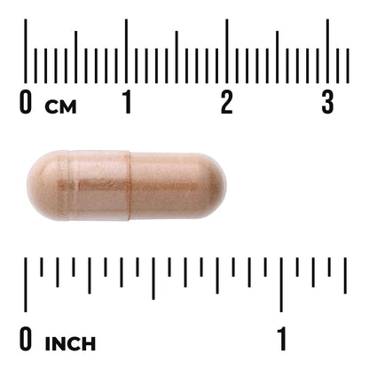 Full Spectrum Grape Seed