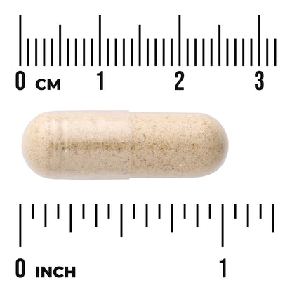 Full Spectrum Wild Yam