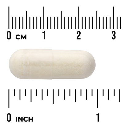 Gelatin & Silicon