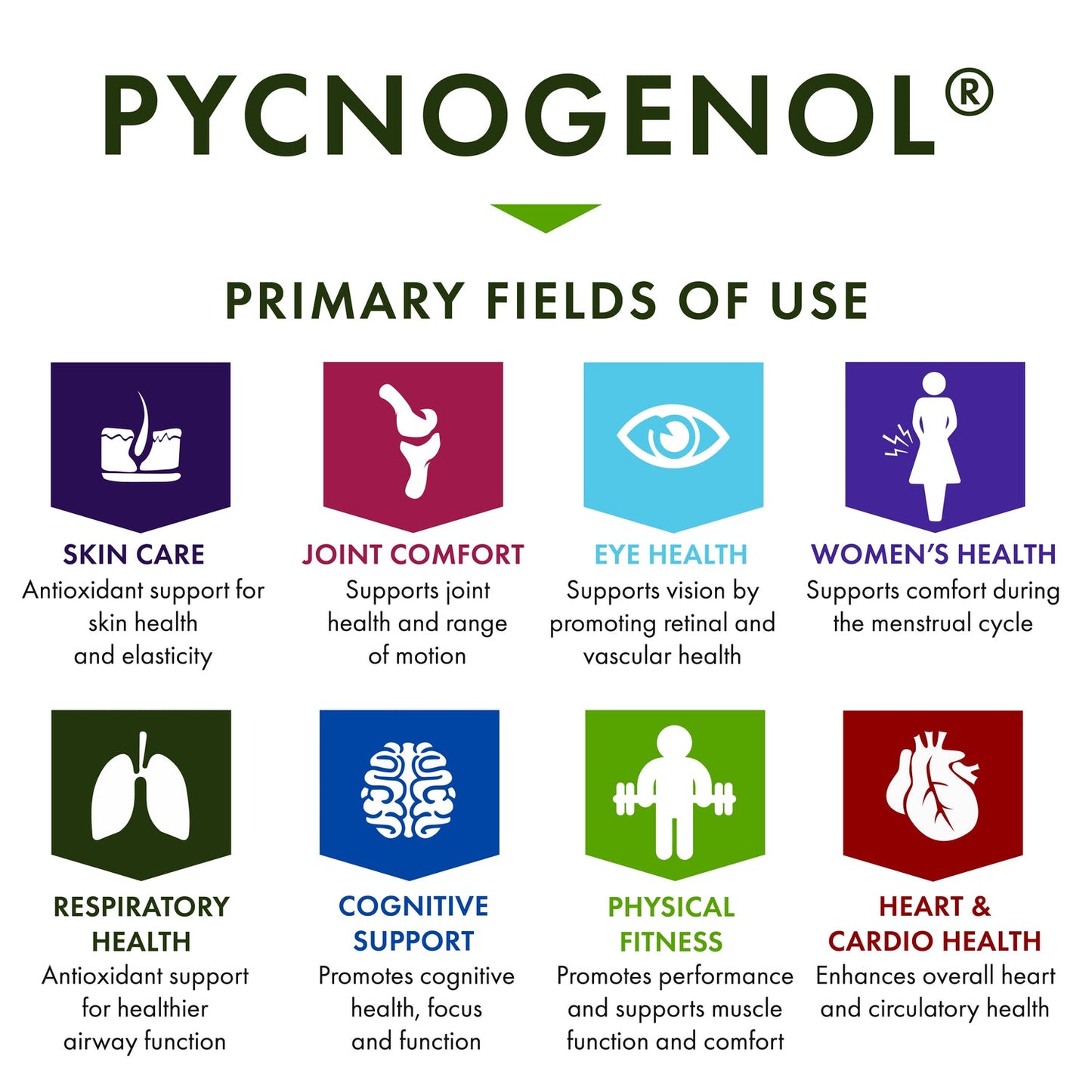 Pycnogenol