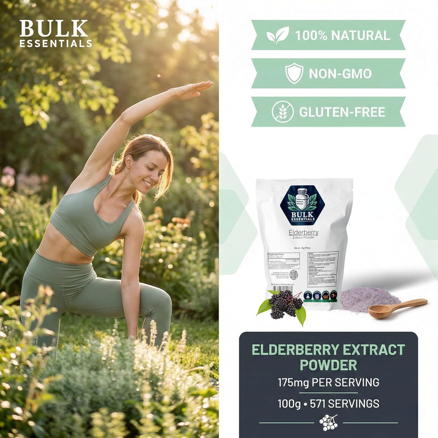 Elderberry Extract Powder W/Maltodextrin