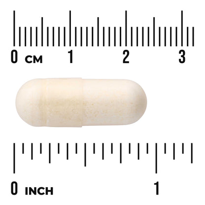 Ultra Potency Probiotic