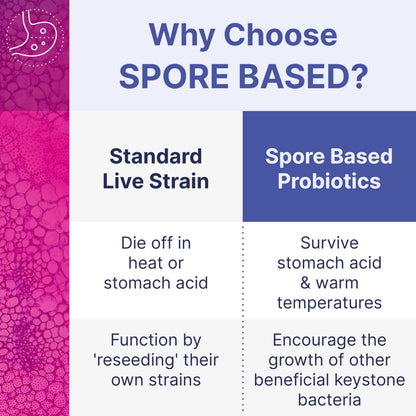 Microbiome Labs MegaSporeBiotic Probiotics for Women & Men