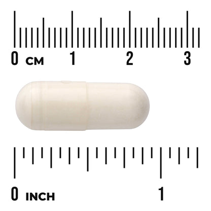 White Kidney Bean Extract