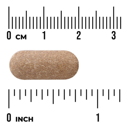 Orchic Glandular - Men's Health