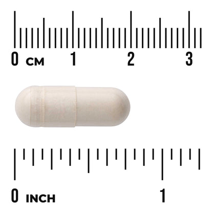 Boswellia Serrata Extract