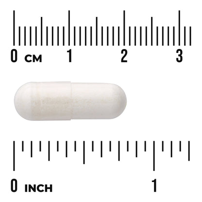 Vitamin B6 Pyridoxine