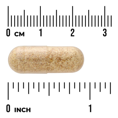 Full Spectrum Fenugreek Seed