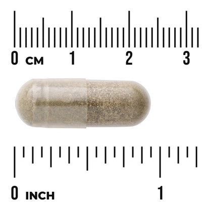 Full Spectrum Catnip
