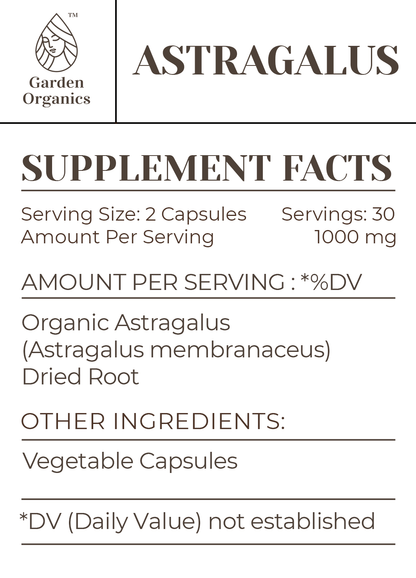 Astragalus Capsules