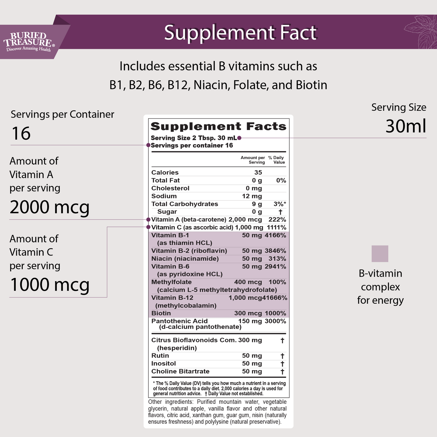 B Complex–Complete Daily B Vitamin Supplement, 16 fl oz