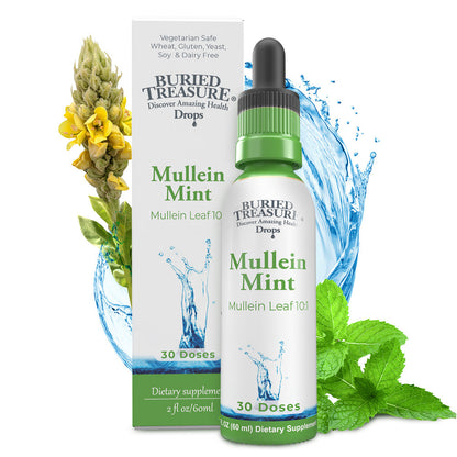 Buried Treasure Liquid Nutrients Mullein Drops with 200mg 10:1 Extract, Alcohol-Free Liquid Dietary Supplement