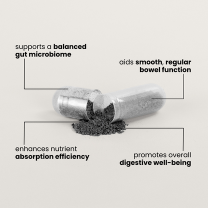 Probiotic + Enzyme Digestive Support