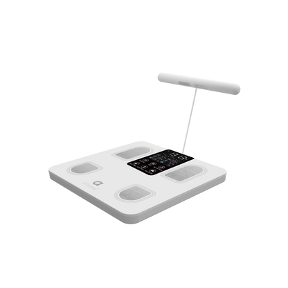Segmental Smart Scale CS10E