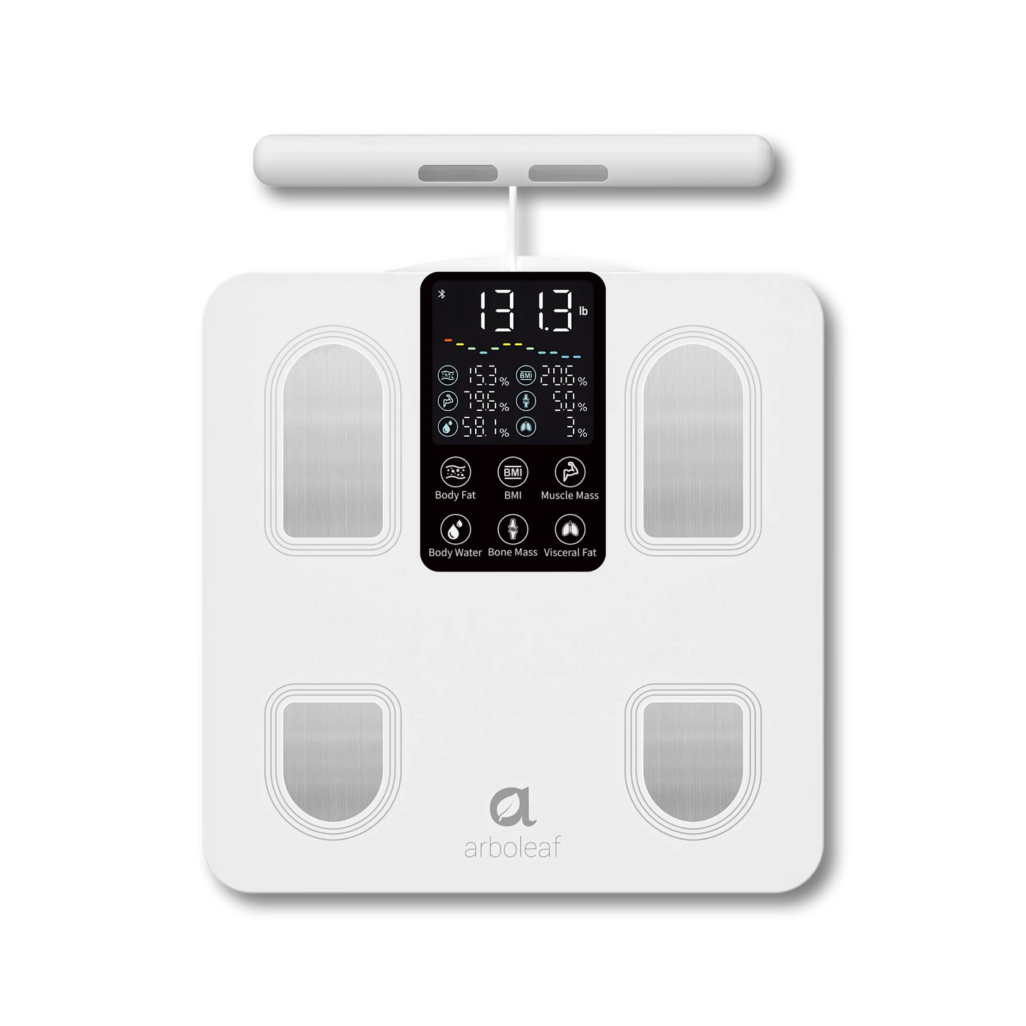 Segmental Smart Scale CS10E