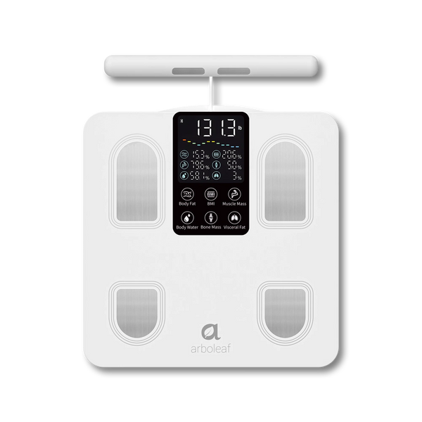 Segmental Smart Scale CS10E