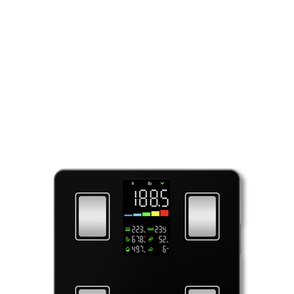 Body Scale CS20G