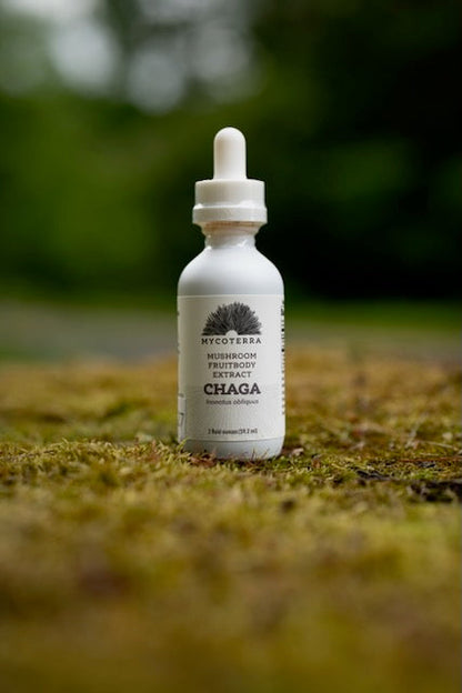 Organic Chaga Mushroom Tincture 2oz.