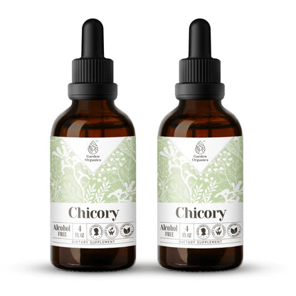 Chicory Tincture