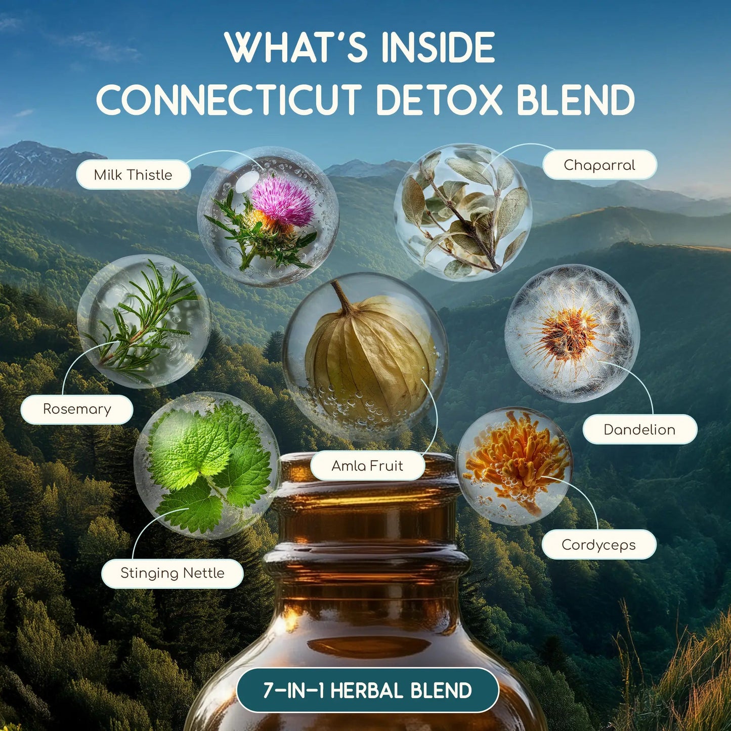 Connecticut Detox Blend