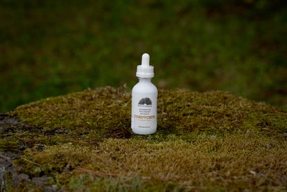Organic Cordyceps Mushroom Tincture 2oz