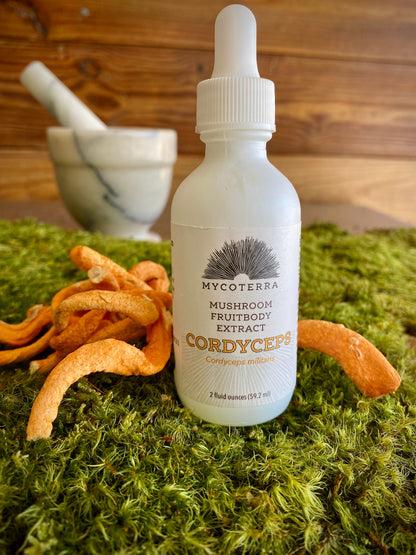 Organic Cordyceps Mushroom Tincture 2oz