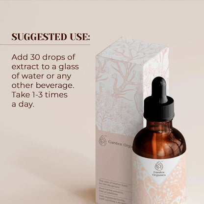 Devil's Club Tincture